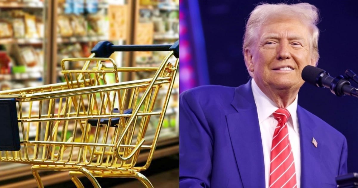 Proposed Legislation Could Restrict Food Stamps for Asylum Seekers and Humanitarian Parolees
