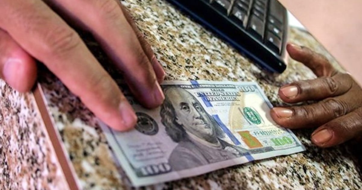 Currency Trends in Cuba's Informal Market: An Analysis of Recent Stability