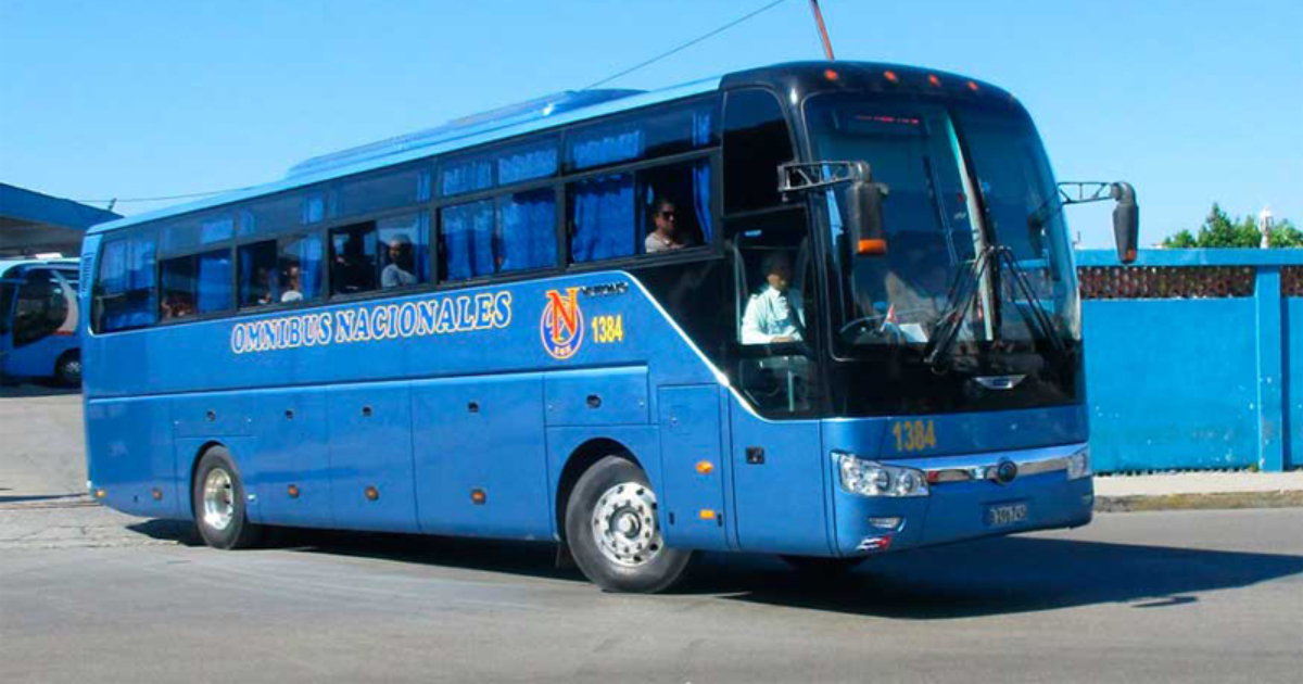 Cuban Man Arrested for Unusual Theft on National Bus