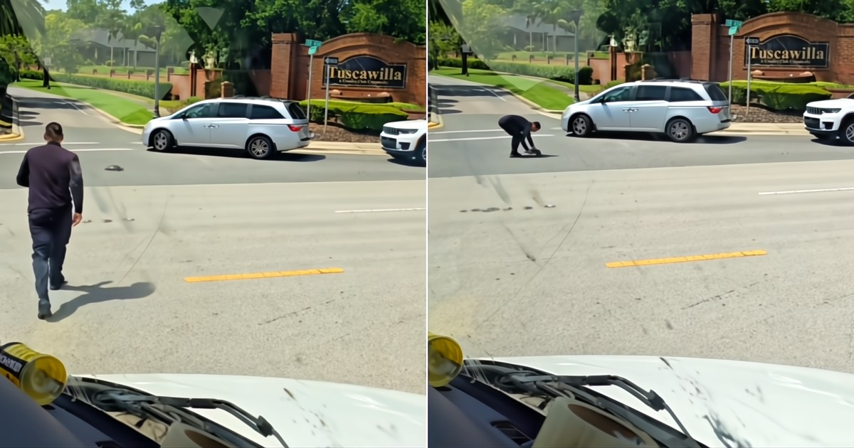 Cuban Trucker's Heartfelt Rescue of Turtle on Florida Highway: A Touching Act of Kindness