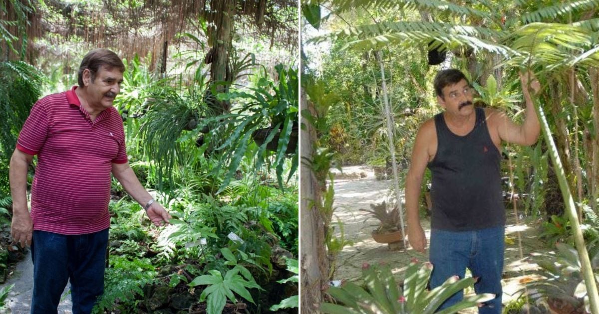 Fallece en Santiago de Cuba Manuel García Caluff, creador del Jardín de los Helechos