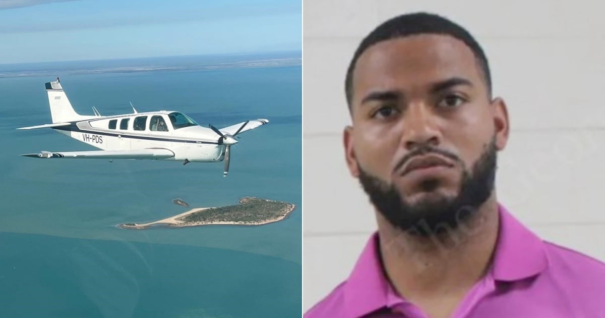 Florida Man's High-Stakes Aerial Adventure: Theft of a Private Plane Across States