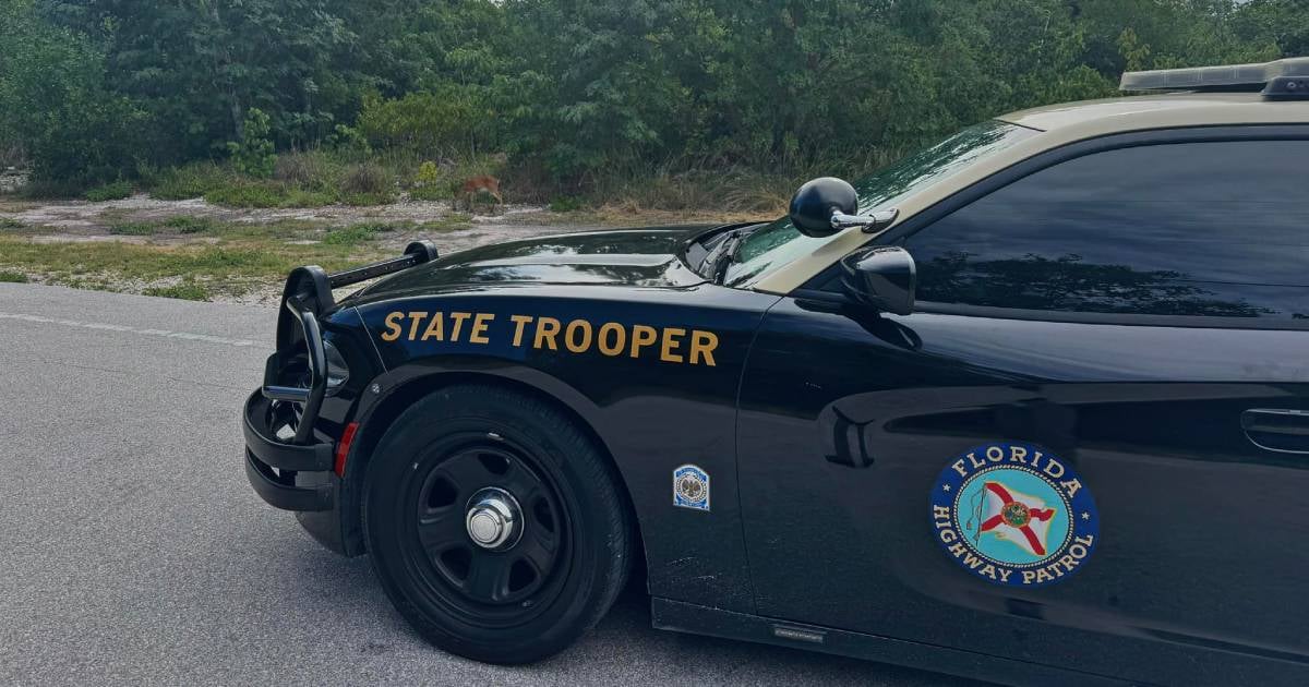 Florida Highway Tragedy: Man Fatally Struck by Two Vehicles