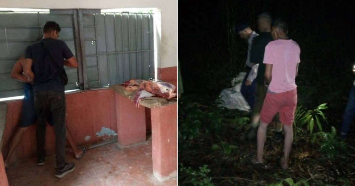 Cuban Authorities Uncover Illegal Slaughterhouse Network in Havana