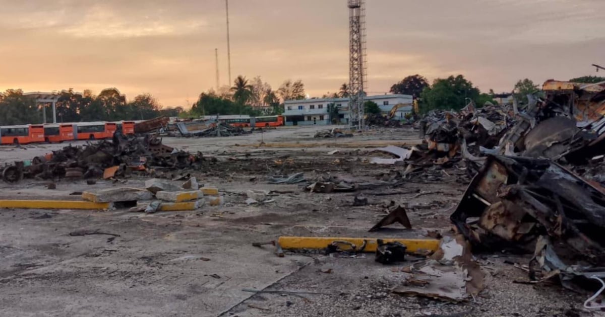 Montañas de chatarra y abandono: Así lucen los cementerios de guaguas en La Habana 