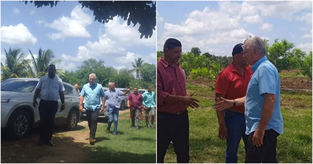 Díaz-Canel's Visit to Guáimaro: A Facade Hiding the Real Struggles