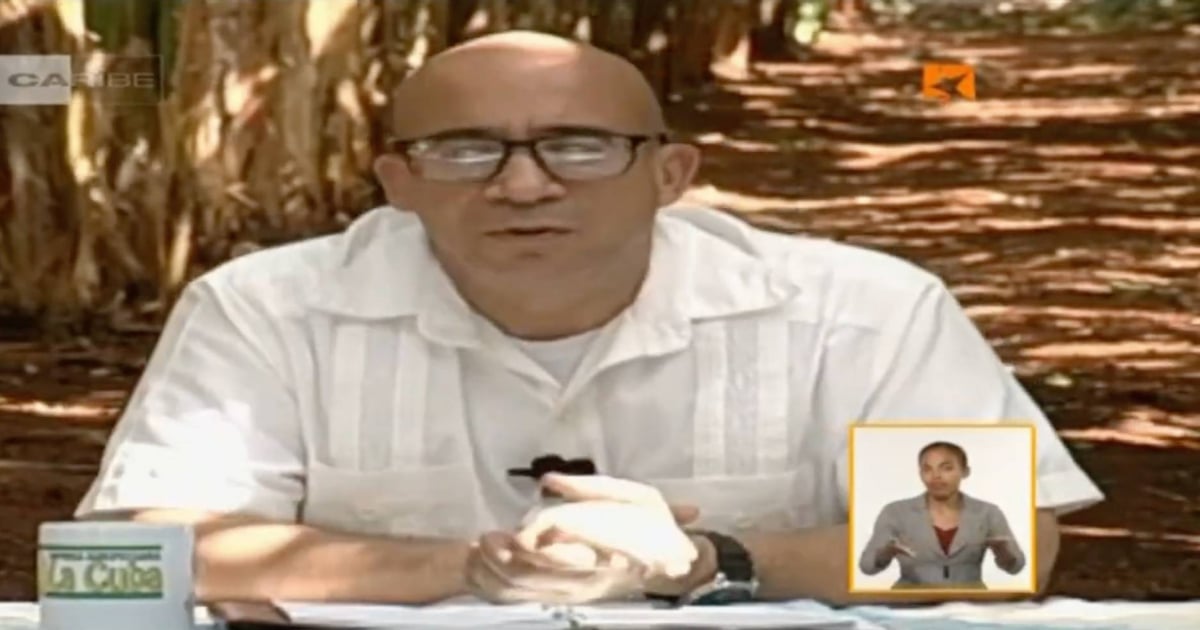 Cuban Government's Televised Show from a Banana Plantation: A Distraction from the Harsh Reality