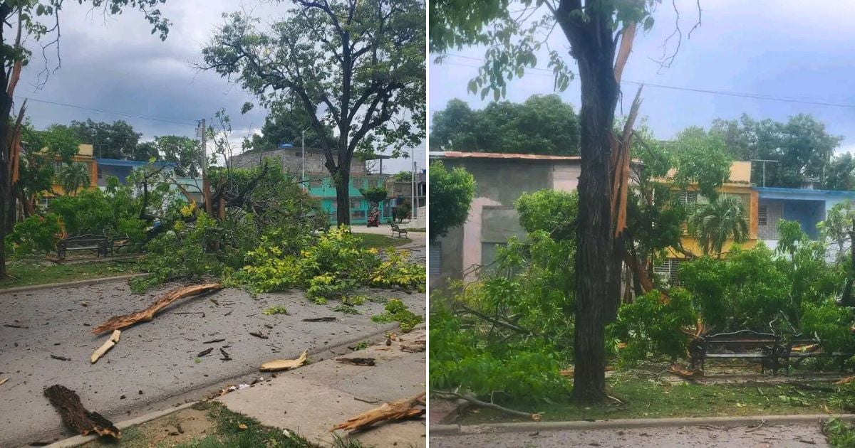 Rayo impacta árboles en avenida de Guantánamo sin dejar heridos