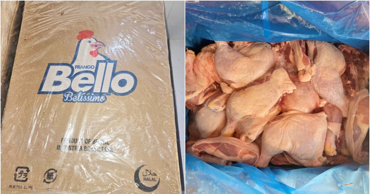 Cuba Eases Poultry Import Restrictions from Brazil Amid Food Supply Challenges