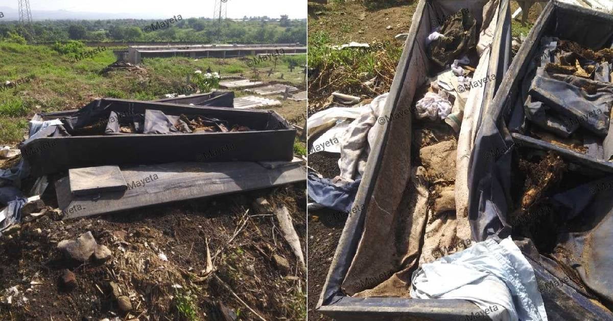 Vecinos denuncian abandono de ataúdes deteriorados en cementerio de San Luis