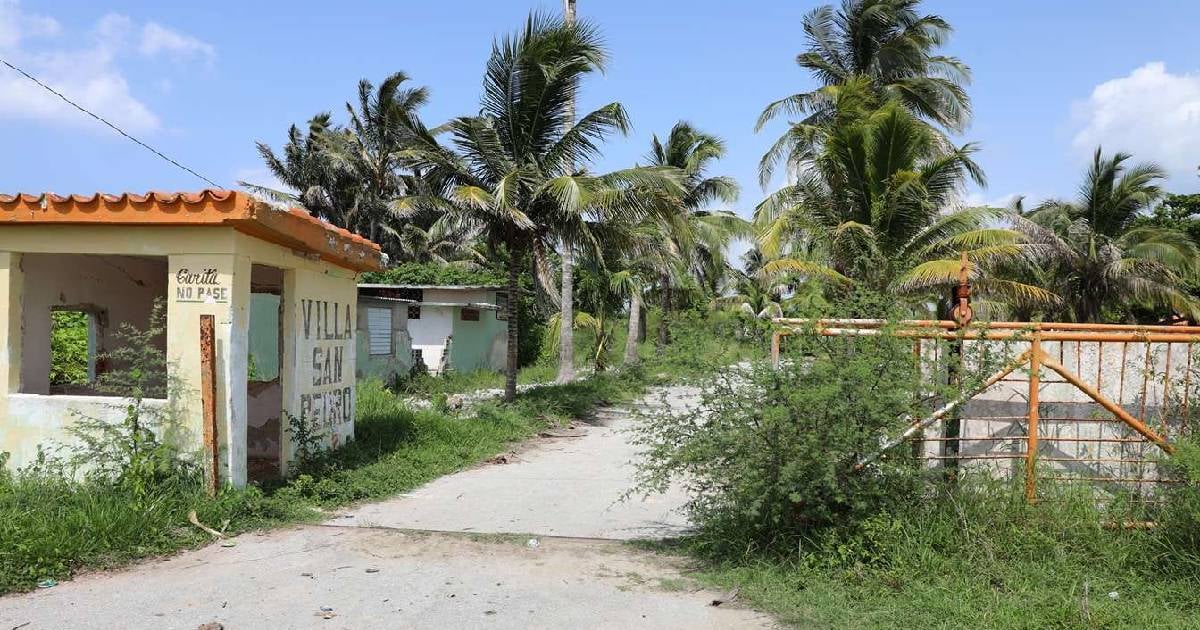 The Decline of San Pedro Campground: A Symbol of Neglect in Artemisa