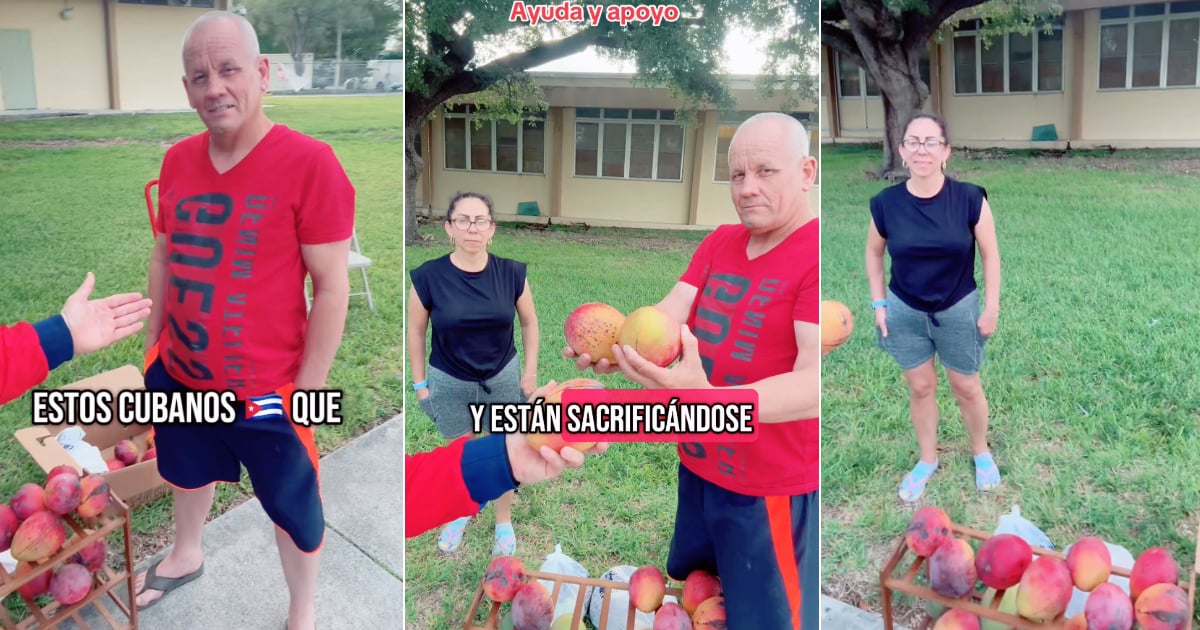 Couple Selling Mangoes in Miami Seeks Community Support