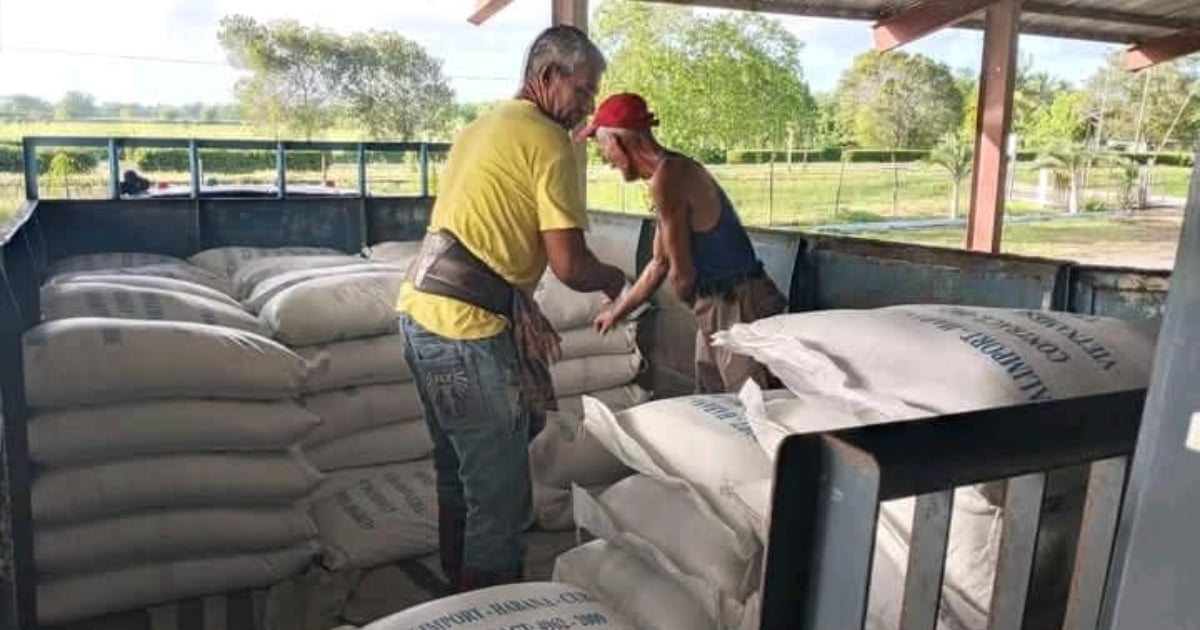 Sindicatos independientes exigen al régimen cubano libertad sindical, justicia económica y democracia