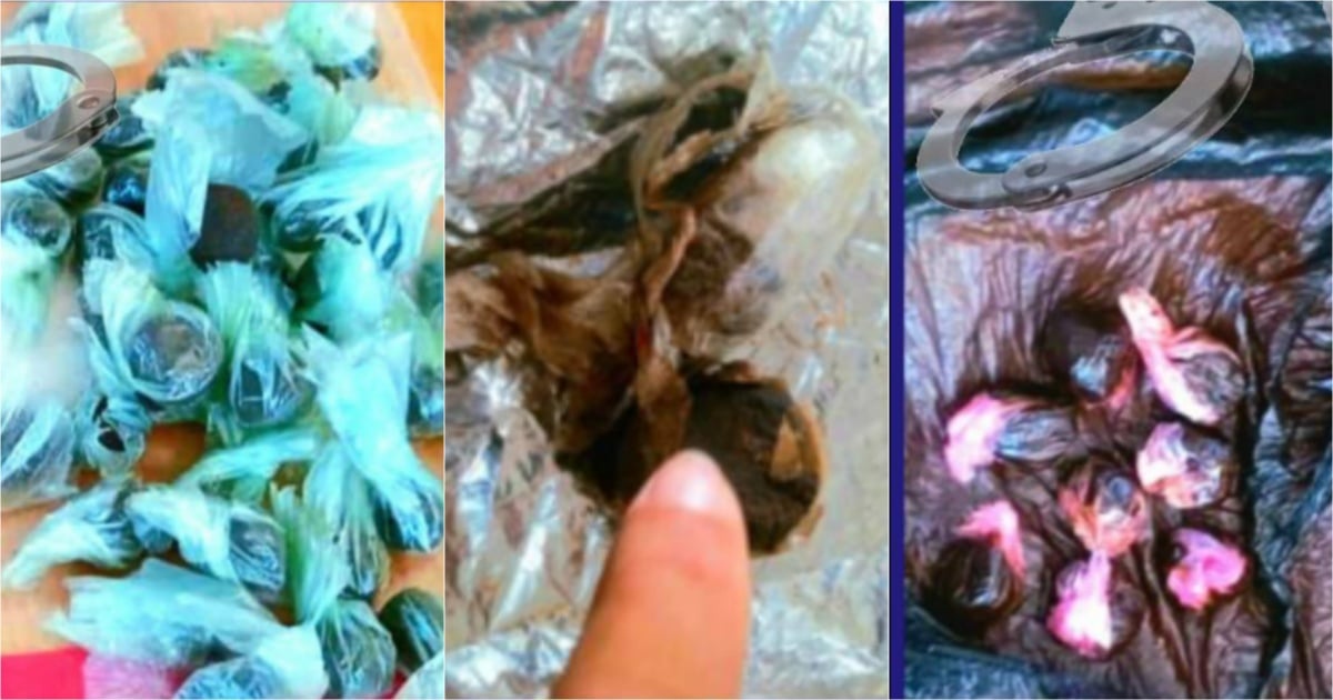 Drug Trafficking Network Dismantled in Baracoa: Authorities Seize 71 Hashish Bags and More
