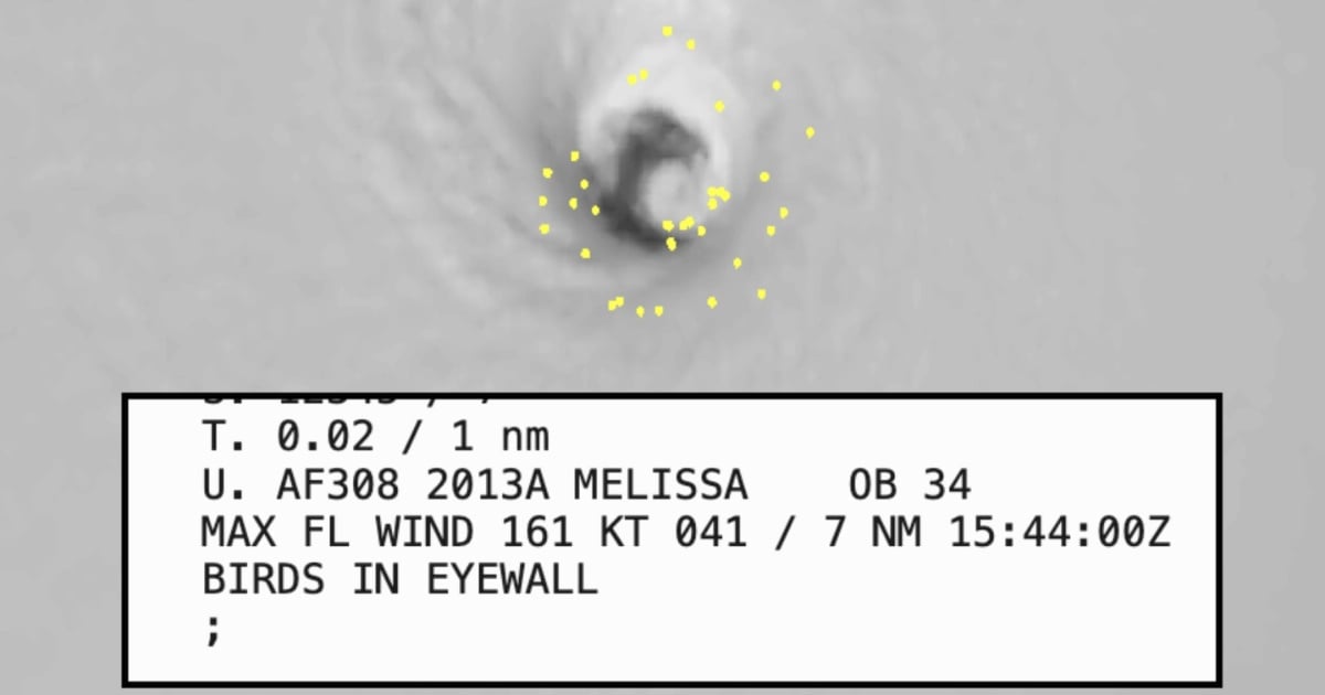 Radar con detección de aves © Captura de X / Matthew Cappucci