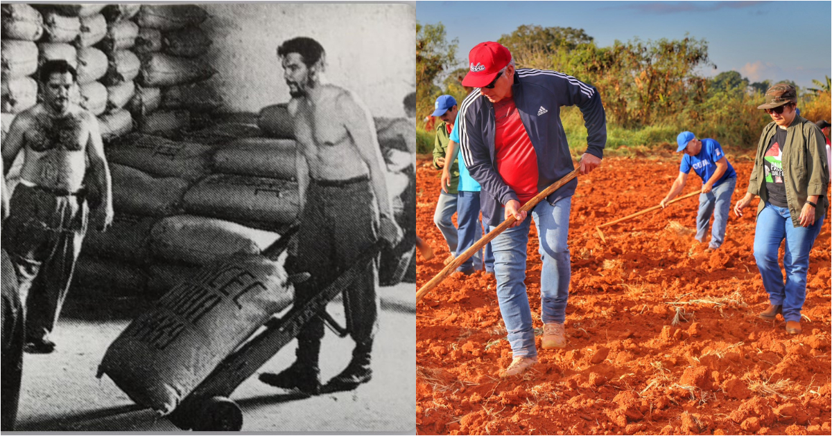 "Brand" volunteer work: Díaz-Canel poses with a hoe and Adidas while the country remains mired in crisis