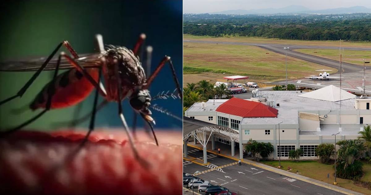Special controls at airports in the Dominican Republic following three cases of chikungunya in passengers arriving from Cuba