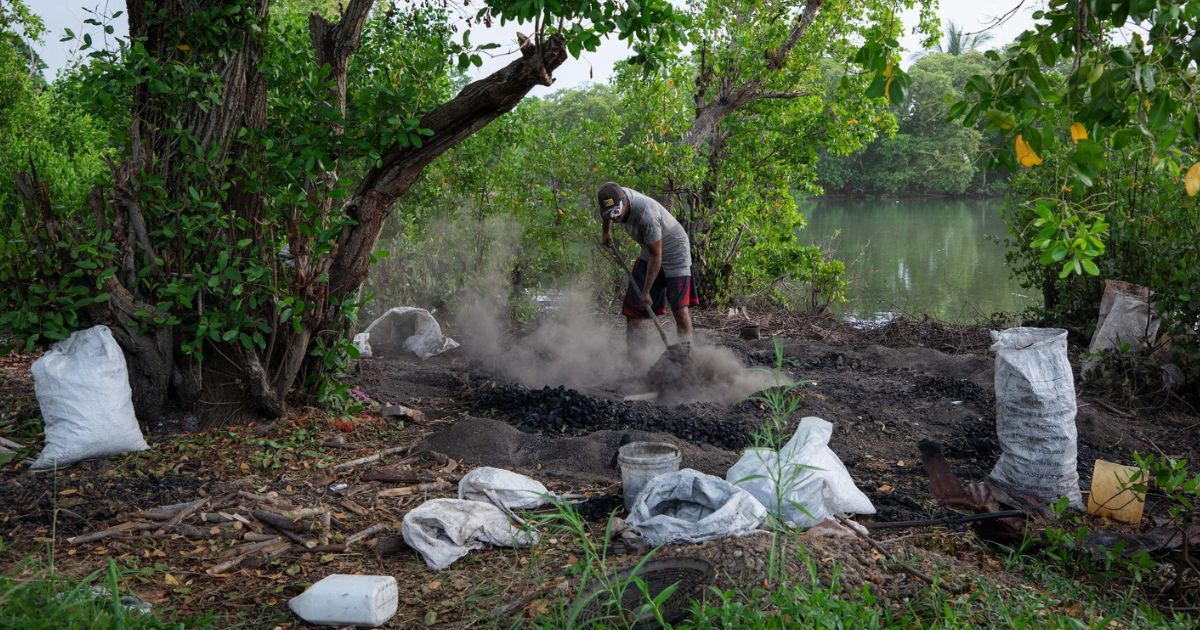 Coal: The Business of the Moment in Cuba, Born from Darkness