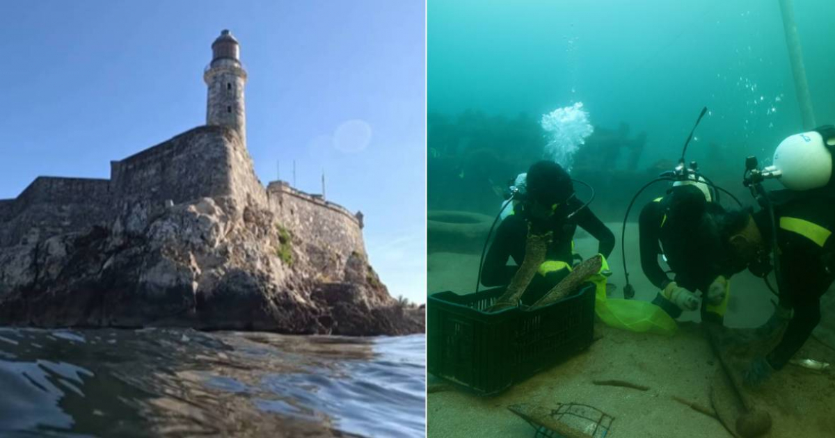 Tragedy and Sharks: The Story of the Shipwreck of the Sánchez Barcáiztegui in Havana Bay