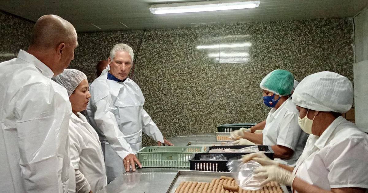 Government's Vow for "Nutritious Foods" Amidst Severe Shortages