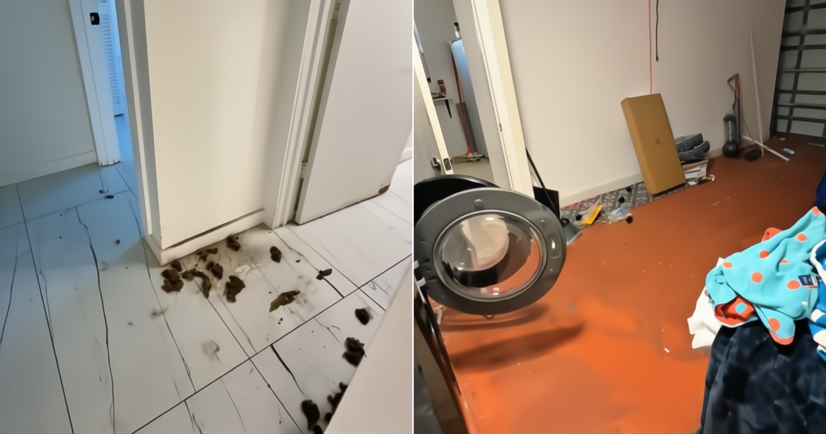 A Cuban Man's Home in Florida Left in Ruins by Tenant with 30 Dogs