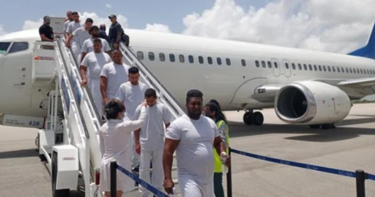 U.S. Government Urges Cubans to Argue Asylum Cases from Uganda or Ecuador