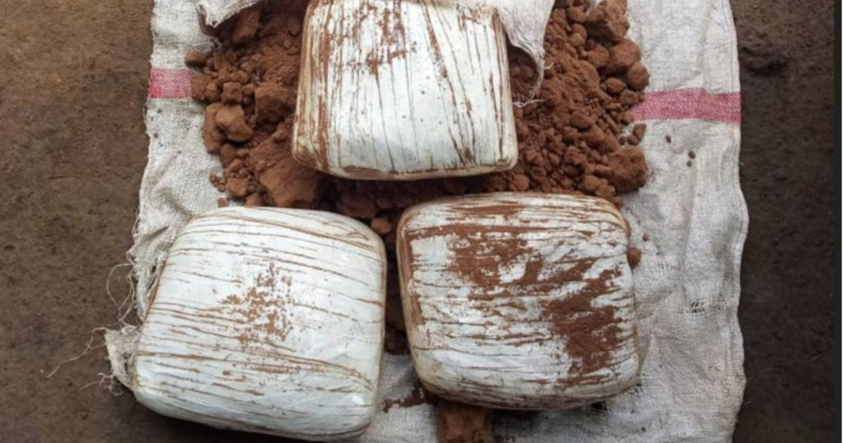 Two detained with a shipment of several pounds of marijuana in Ciego de Ávila