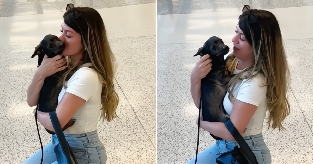 Reunion Between Cuban Actress and Her Dog in Miami Will Tug at Your Heartstrings