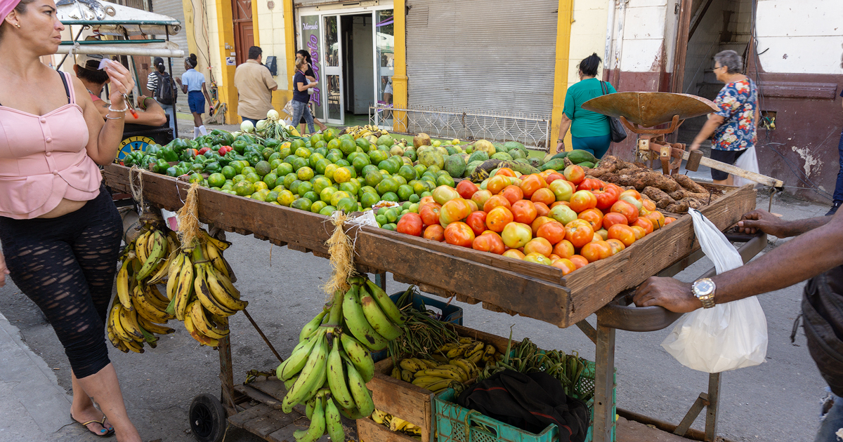 Impossible Christmas! That's how prices for rice, chicken, and pork are in Cuban markets