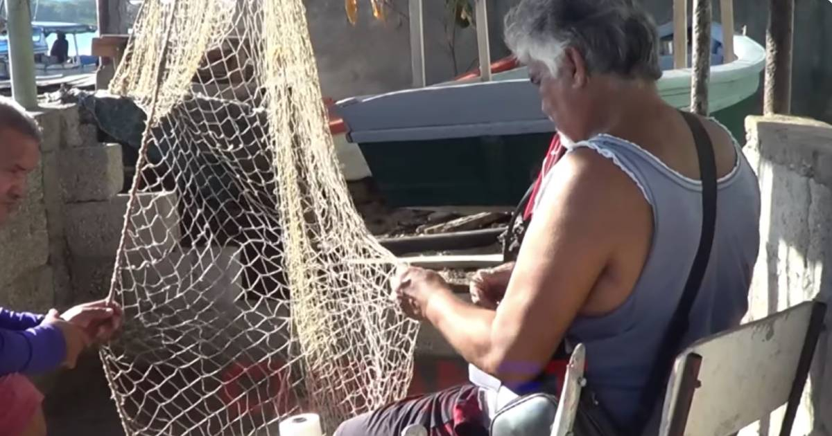 The Harsh Reality of Fishing in Cuba: "We Risk Our Lives at Sea for Pennies"