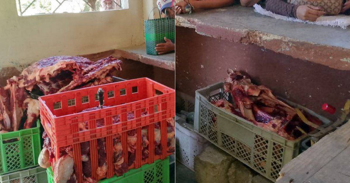 Sale of "Meat" in Las Tunas Sparks Outrage: Only Bones Found