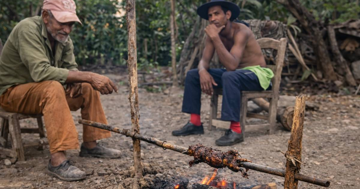 Cuban farmers roast a rodent for dinner on New Year's Eve