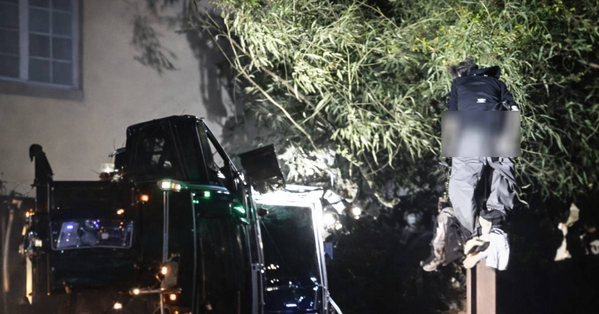 Pinareños New Year 2026: Celebrations & Traditions