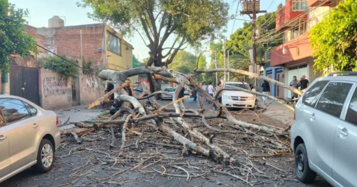 Cubans Share Harrowing Accounts of 6.5 Earthquake in Mexico