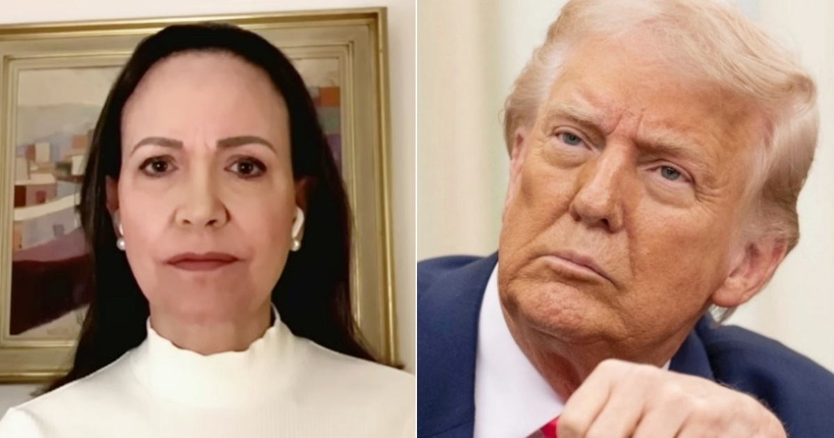María Corina Machado Proposes Sharing Nobel Peace Prize with Trump: Nobel Committee's Response