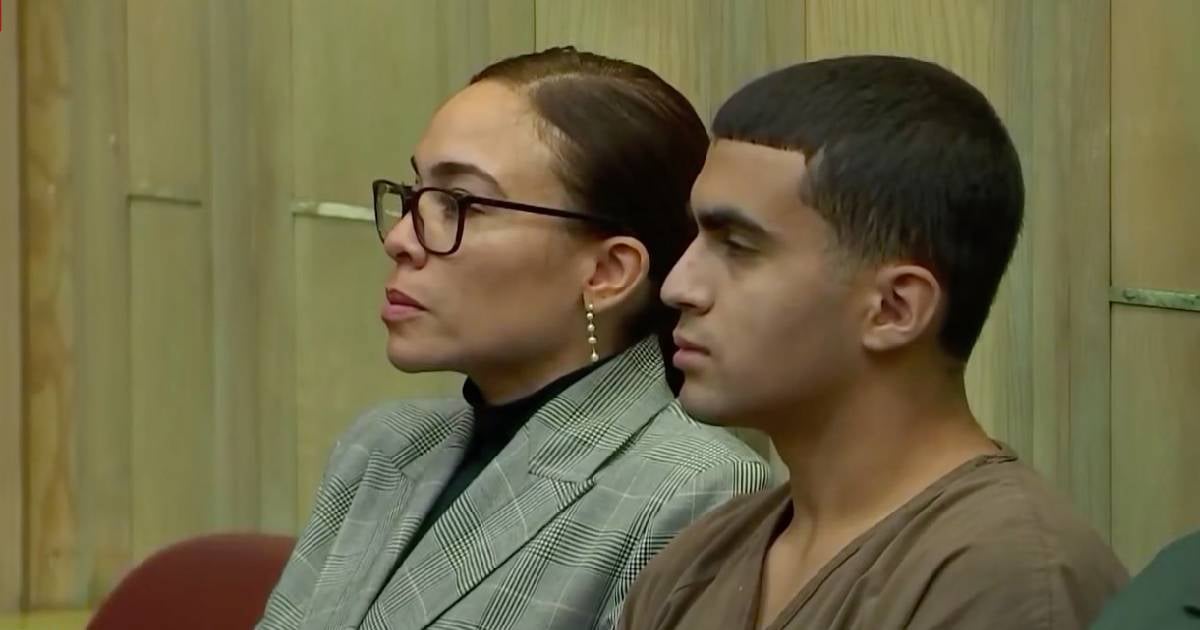 Derek Rosa Pleads Guilty to Stabbing His Mother in Hialeah: "I'm Sorry"