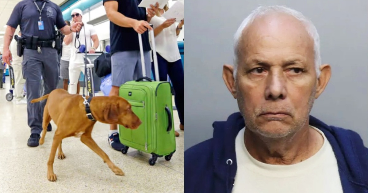 Cuban man arrested at Miami Airport for making a false bomb threat