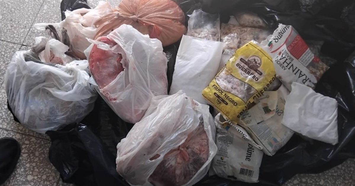 Couple arrested at Holguín airport for attempting to smuggle over 100 kg of marine species meat