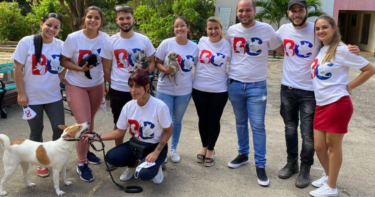 Animal rights organization denounces harassment by the regime: 62 women summoned by State Security