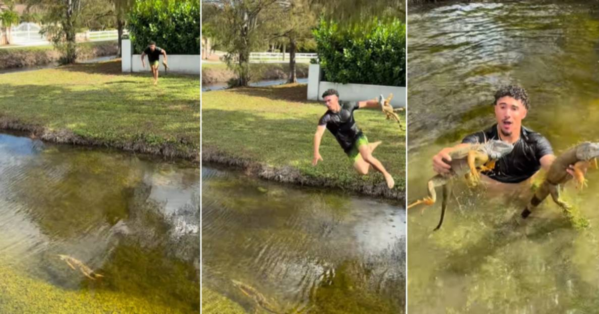 Andrew Morales: The "Cuban Tarzan" who conquers Florida