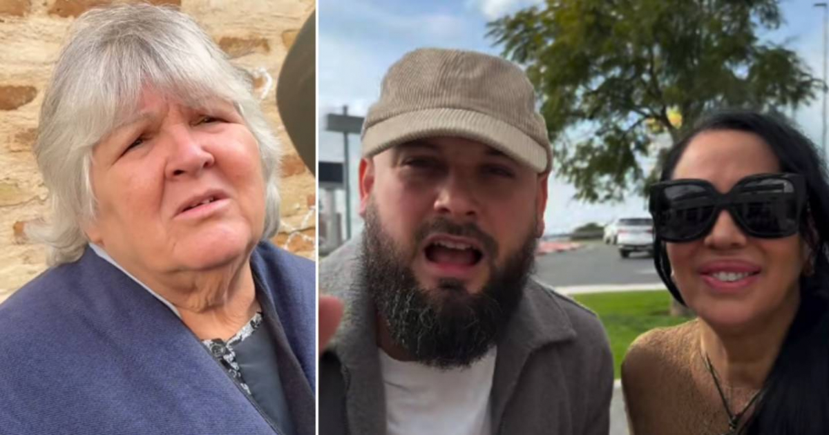 Cuban Activists Confront Aleida Guevara in Seville: "Your Father Was a Murderer and Racist"