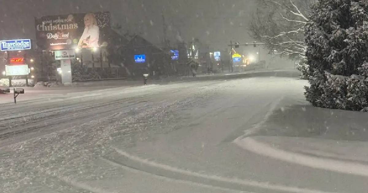 Miami-Dade issues an alert and shares recommendations following an unusual drop in temperatures in South Florida