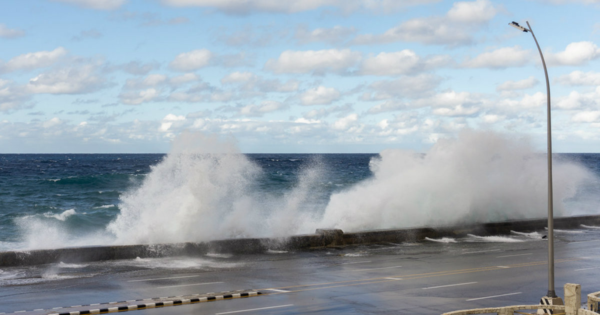 Gusts of up to 72 km/h in Havana following the passage of the eighth cold front of the season