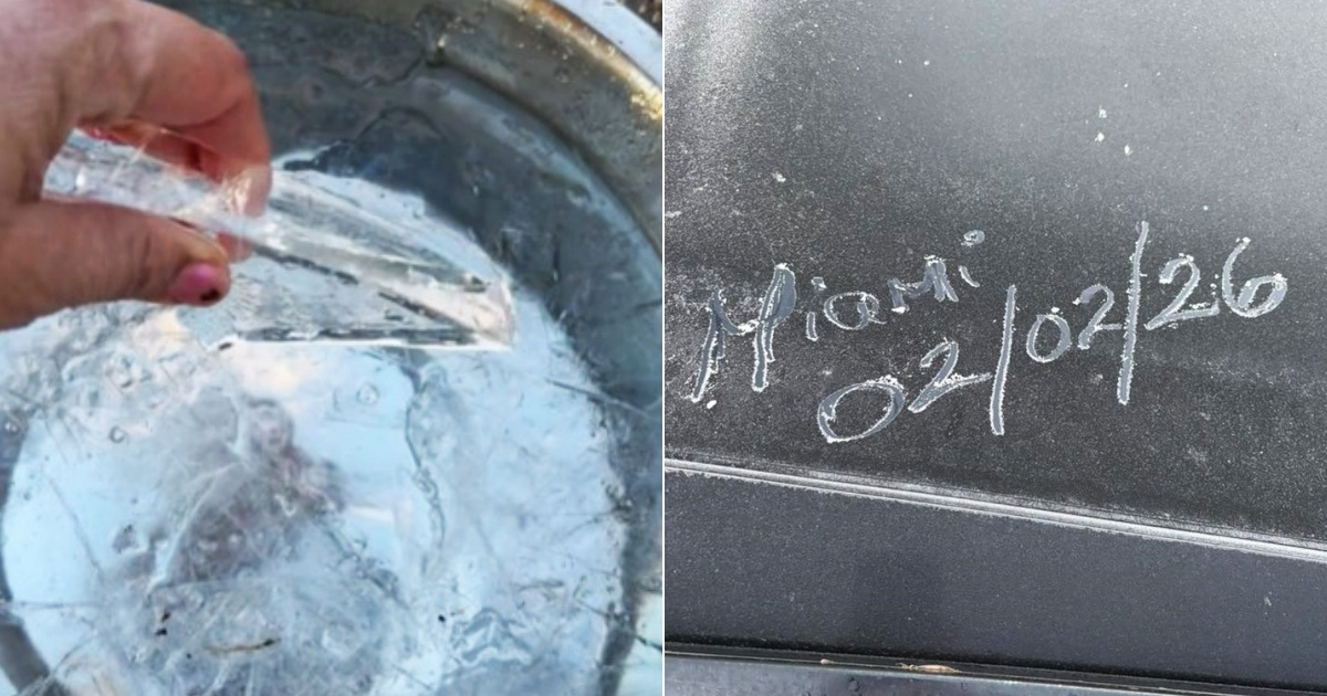 Historic cold wave hits Florida: Here's how it looked this morning