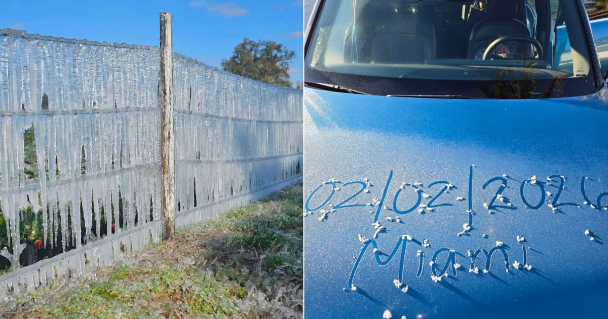 South Florida faces extreme cold: A new front announced