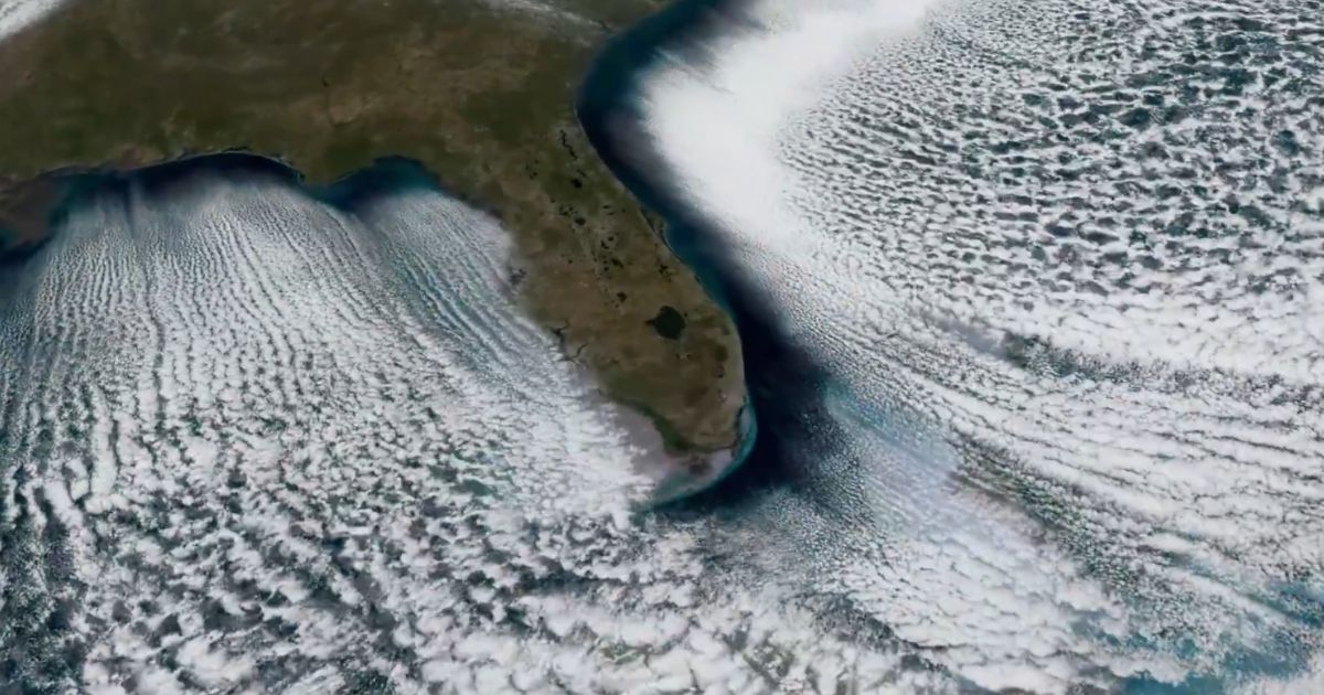 Satellite images show the impressive advance of the polar front that froze Florida