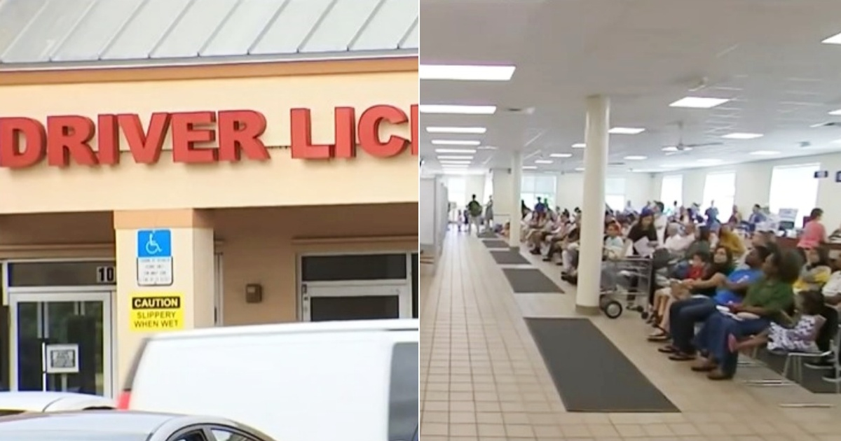 Young Florida Woman Must Retake Driving Test Despite Passing in Spanish: What Do Authorities Say?