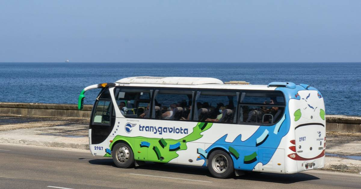 Canadian Tourists Speak Out on Cuba's Fuel Shortage: "People Here Are Suffering"