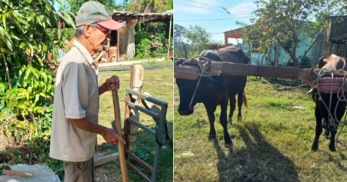 Violent attempted robbery of a 70-year-old farmer on his farm in Cuba