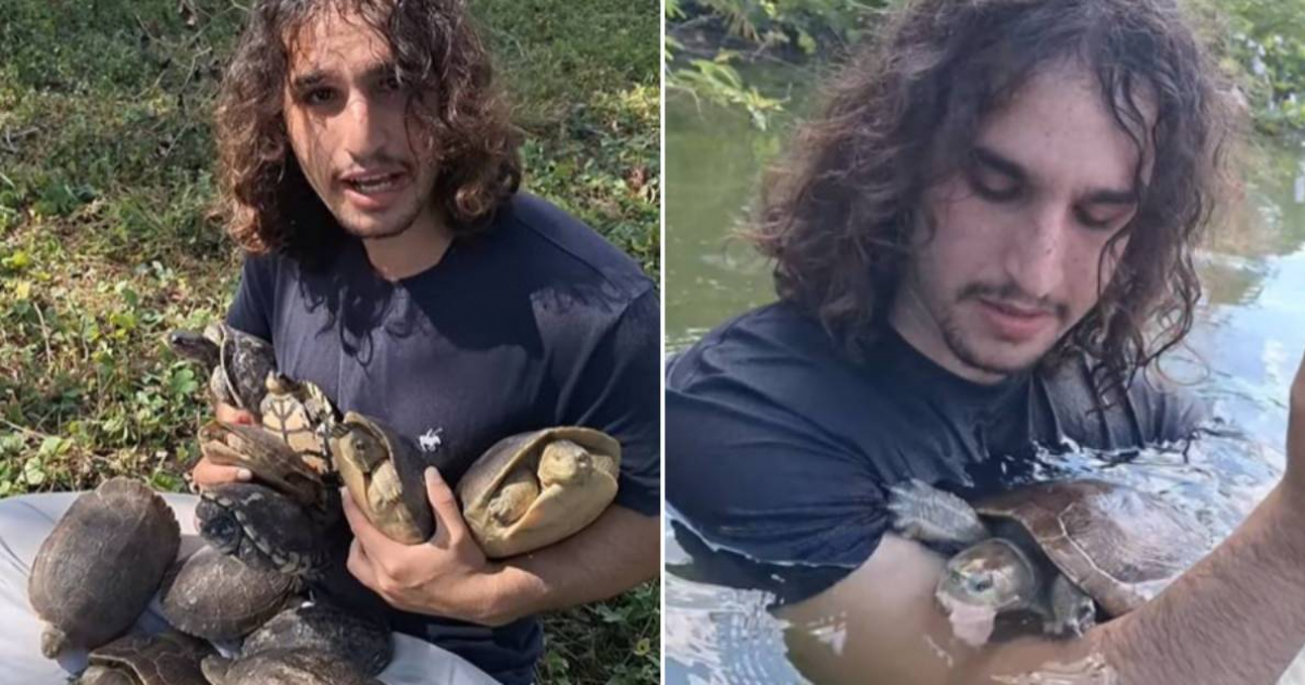 Cuban veterinarian releases a dozen jicoteas, including his pet Shimo: "I want him to be free."